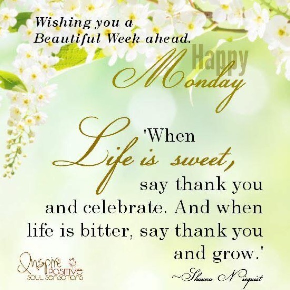 CLOSET SALE 🌺make offer - Picture 3 of 3